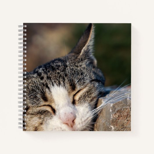Sleepy Cat Spiral Notitieboek (Voorkant)