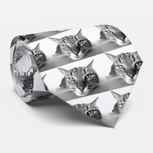 Sleepy Cat Stropdas (Opgerold)