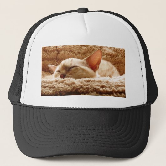 Sleepy Cat Trucker Pet (Voorkant)