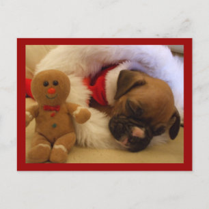 Sleepy Christmas Boxer Puppy briefkaart