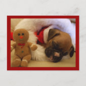 Sleepy Christmas Boxer Puppy briefkaart (Voorkant)