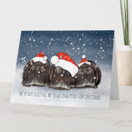 Sleepy Christmas Hippo Trio Christmas Kaart