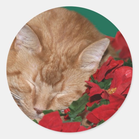 Sleepy Christmas kat Ronde Sticker (Voorkant)