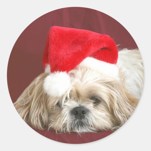Sleepy Christmas Shih Tzu Ronde Sticker (Voorkant)