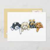 Sleepy Cockapoos Briefkaart (Voorkant / Achterkant)