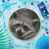 Sleepy Cute Raccoon Papieren Bordje (Feest)