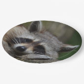 Sleepy Cute Raccoon Papieren Bordje (Gekanteld)