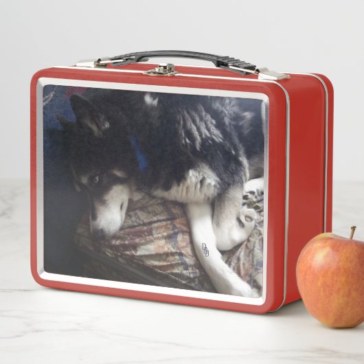 Sleepy Dog (In situ)