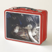 Sleepy Dog (Achterkant)