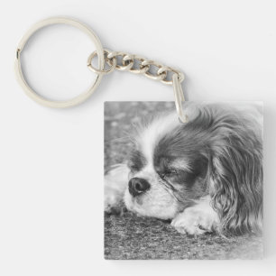 Sleepy Dog Acrylic Key Ring Sleutelhanger
