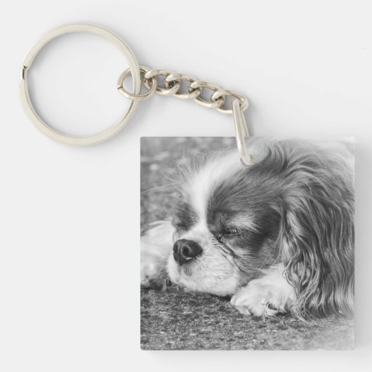 Sleepy Dog Acrylic Key Ring Sleutelhanger (voorkant)