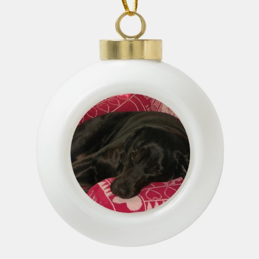 Sleepy Dog Ball Ornament (Voorkant)