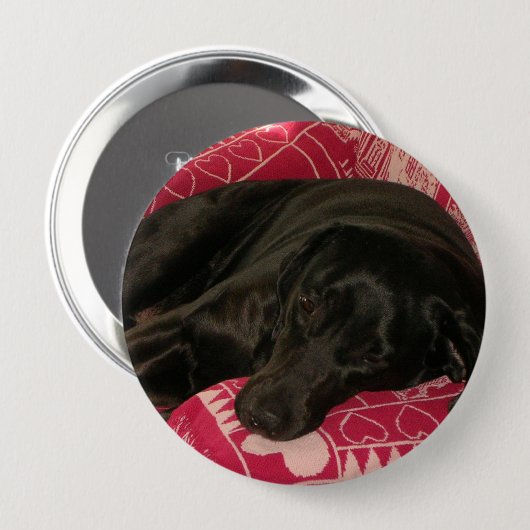 Sleepy Dog Button (Voorkant /achterkant)