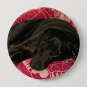Sleepy Dog Button (Voorkant)