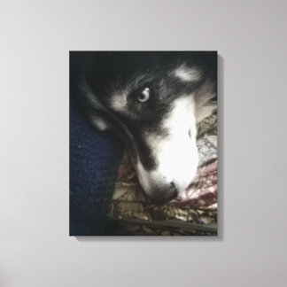 Sleepy Dog Canvas Afdruk