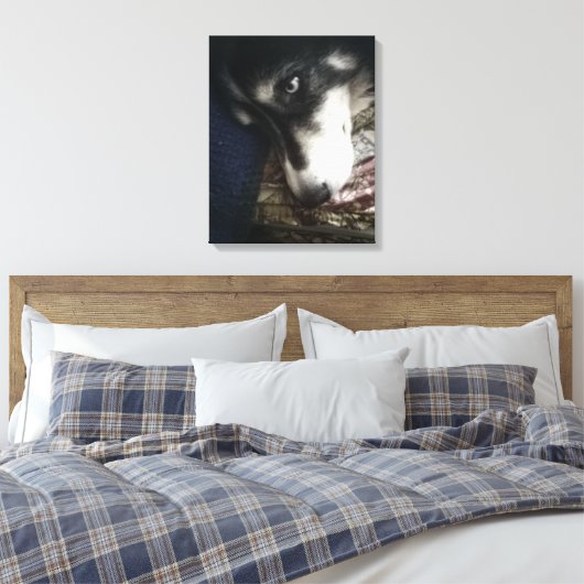 Sleepy Dog Canvas Afdruk (Insitu (Slaapkamer))