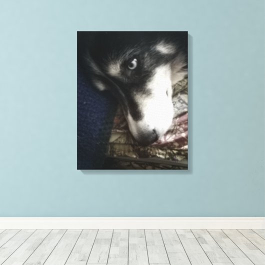 Sleepy Dog Canvas Afdruk (Insitu (Houten vloer))