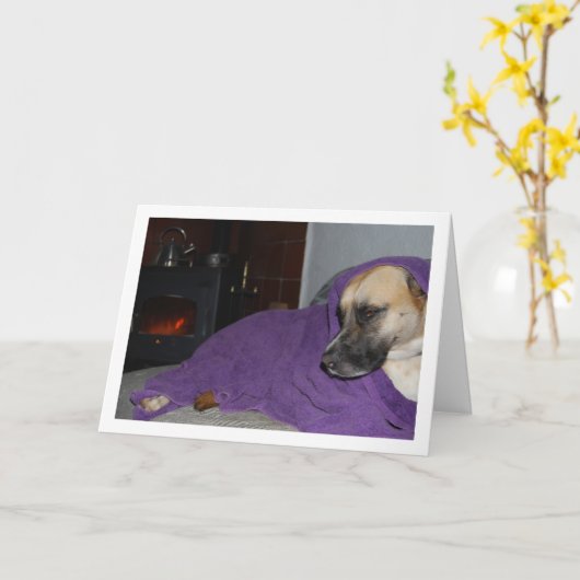 Sleepy Dog door open haard Kaart (Gele Bloem)