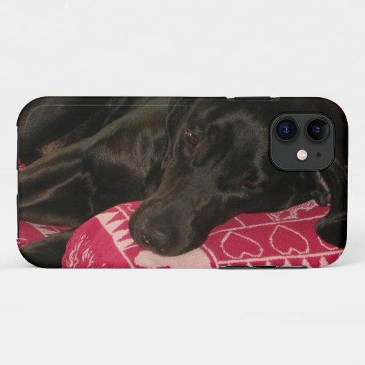 Sleepy Dog iPhone 5 Hoesje (Achterkant (horizontaal))