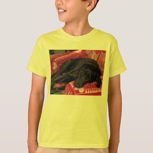 Sleepy Dog Kinder Basic T-Shirt (Voorkant)