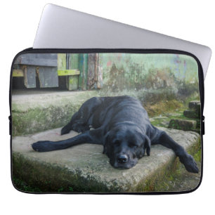 Sleepy Dog Laptop Sleeve