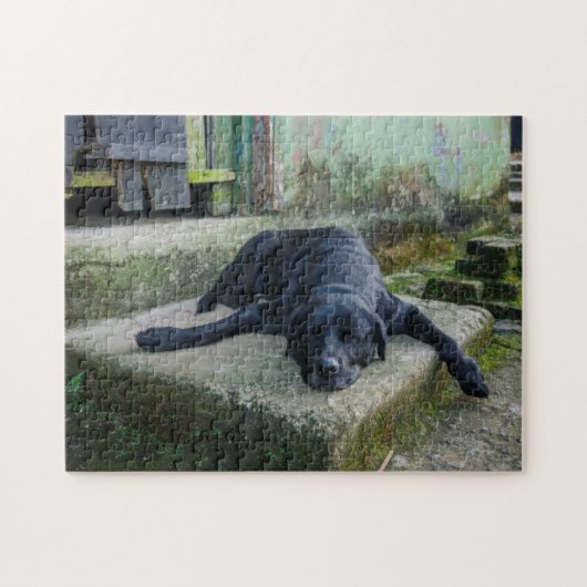 Sleepy Dog Legpuzzel (Horizontaal)