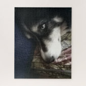 Sleepy Dog Legpuzzel (Verticaal)