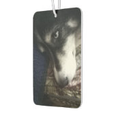 Sleepy Dog Luchtverfrisser (Links)