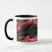 Sleepy Dog Mok (Links)