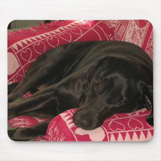 Sleepy Dog Mousepad Muismat (Voorkant)