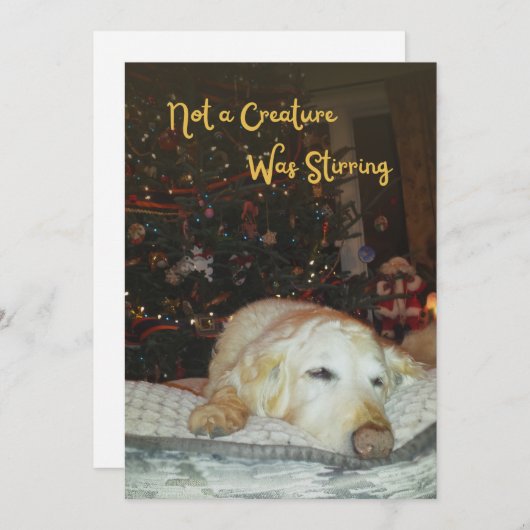 Sleepy Dog Not a Creature was het roeren van Kerst Feestdagenkaart (Voorkant / Achterkant)