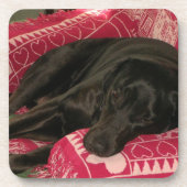 Sleepy Dog Onderzetters - set van 6 (Voorkant)