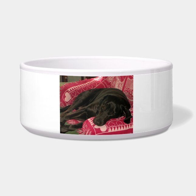 Sleepy Dog Pet Bowl Voerbakje (Voorkant)