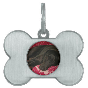 Sleepy Dog Pet Tag Huisdieren Naamplaatje