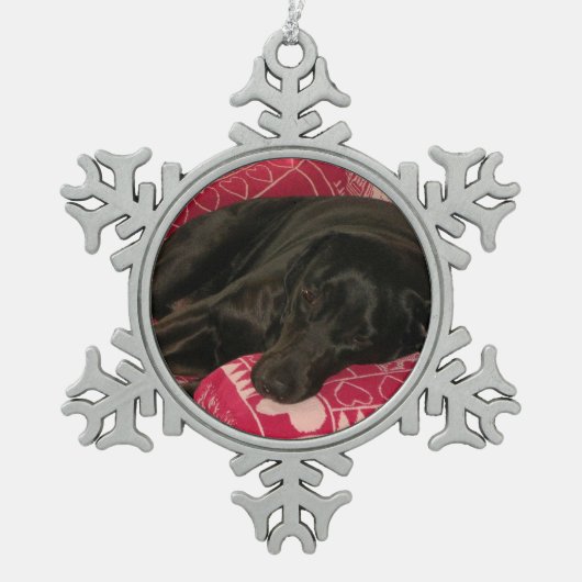 Sleepy Dog Pewter Ornament (Voorkant)