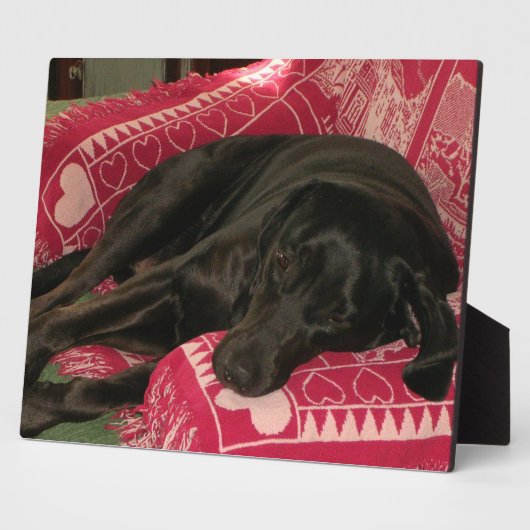 Sleepy Dog Plaque Fotoplaat (Zijkant)