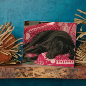 Sleepy Dog Plaque Fotoplaat (Zijkant)