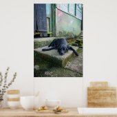 Sleepy Dog Poster (Keuken)