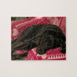 Sleepy Dog Puzzle Legpuzzel