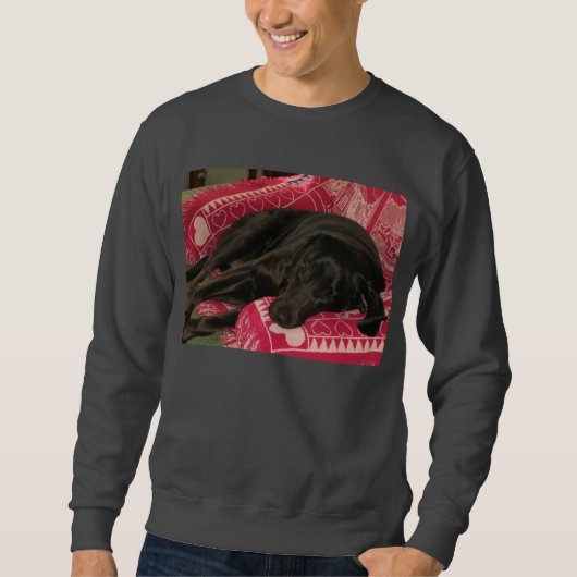 Sleepy Dog Shirts (Voorkant)