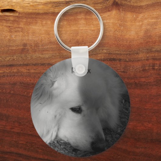 Sleepy Dog Sleutelhanger (Voorkant)