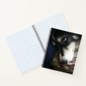 Sleepy Dog Spiral Notitieboek (Binnen)