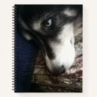 Sleepy Dog Spiral Notitieboek