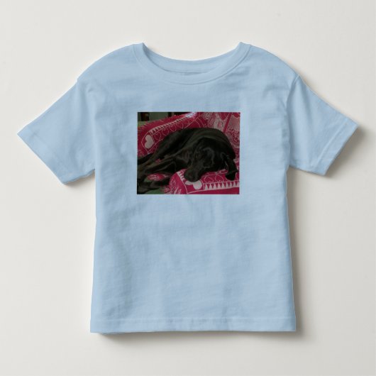 Sleepy Dog Toddlers Ringer T-Shirt (Voorkant)