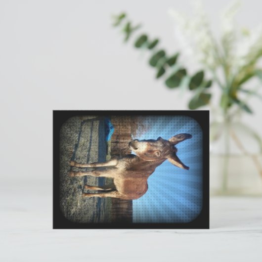 Sleepy Donkey Briefkaart (Staand voorkant)