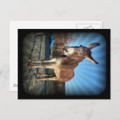 Sleepy Donkey Briefkaart (Voorkant / Achterkant)