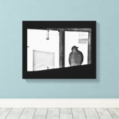 Sleepy Dove Canvas Afdruk (Insitu (Houten vloer))