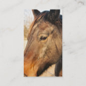 Sleepy Draft Horse Visitekaartjes (Achterkant)