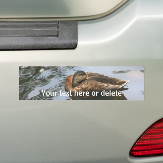 Sleepy Duck Nature Personalized Bumpersticker (Op auto)