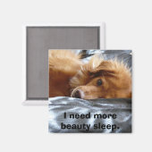 Sleepy Eyed Dog Magneet (Voorkant / Achterkant)